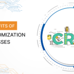 CRM customization services